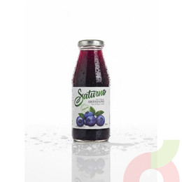 Néctar Arándano Saturno 250Cc