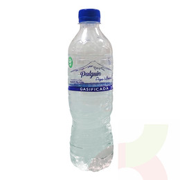 Agua Mineral Palguin con Gas 500cc