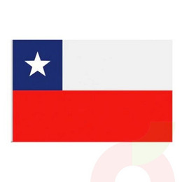Bandera Chile 60x90Cm