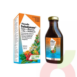 Saludynam Floradix 250Ml