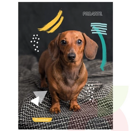 Cuaderno Animales  120 Hojas 5mm ProArte - vista alternativa