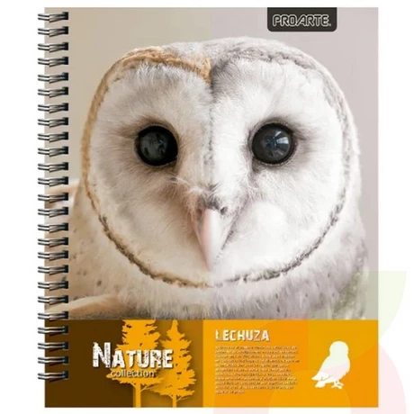 Cuaderno Proarte Universitario 100H 7Mm Nature