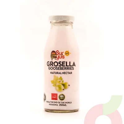 Néctar Natural Grosella 250Ml
