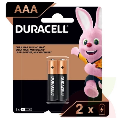 Pila Duracell AAA 2 Unidades