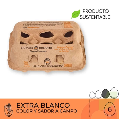 Huevos Extra Blanco Coliumo 6 Unidades