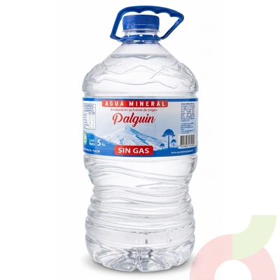 Agua Mineral Sin Gas Palguin 5Lt