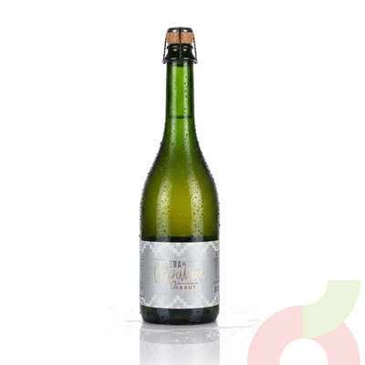 Sidra Brut 0% Azúcar Copahue 750Cc