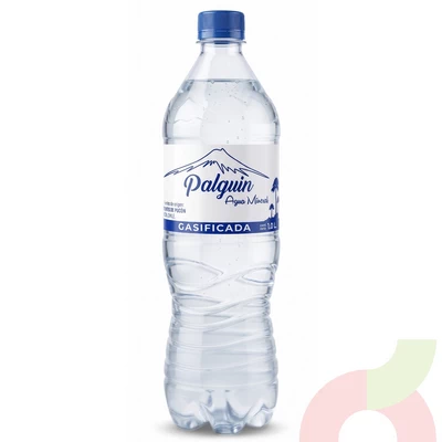Agua Mineral Gasificada Palguin 1Lt