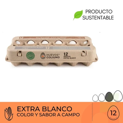 Huevos Extra Blanco Coliumo 12 Unidades