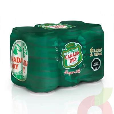 Pack Lata Ginger Ale Canada Dry 350Cc 6 Unidades