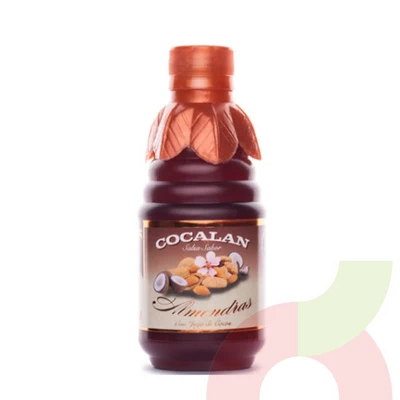 Salsa Almendras con Toque de Coco Cocalan 330Gr