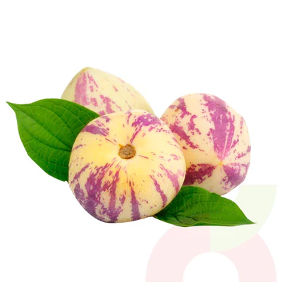 Pepino Fruta 