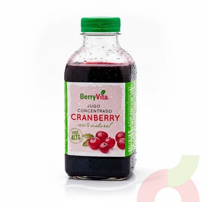 Jugo Concentrado Cranberry Berryvita 450Ml