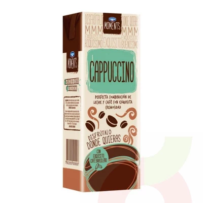 Leche Moments Capuccino Danone 200Cc