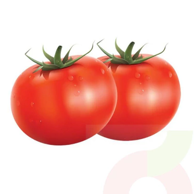 Tomate Larga Vida 1Kg