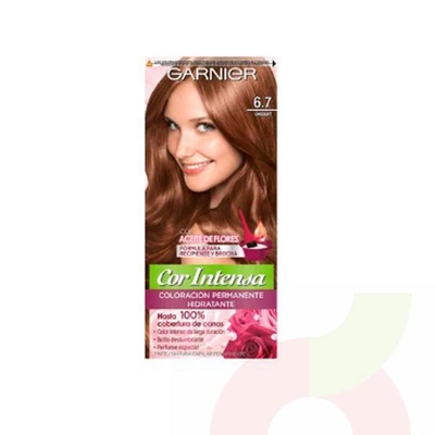 Tintura Pelo Cor Intensa 6.7 Chocolate Garnier