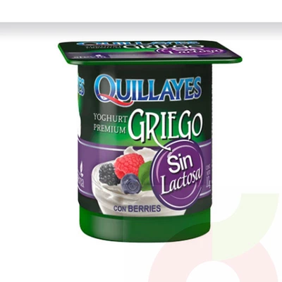 Yoghurt Griego Sin Lactosa Berries Quillayes 110Gr 