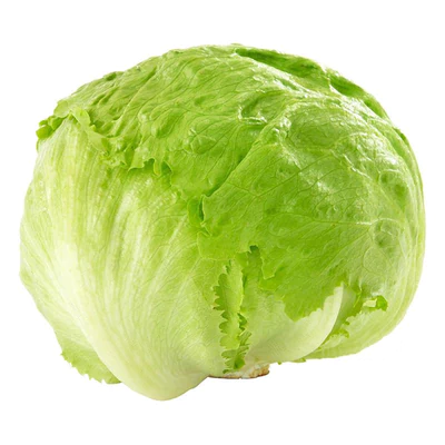 Lechuga Escarola por Unidad 