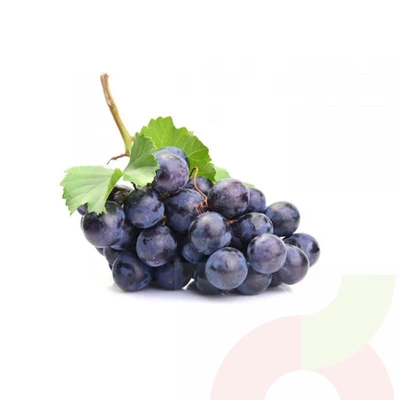 Uva Negra 