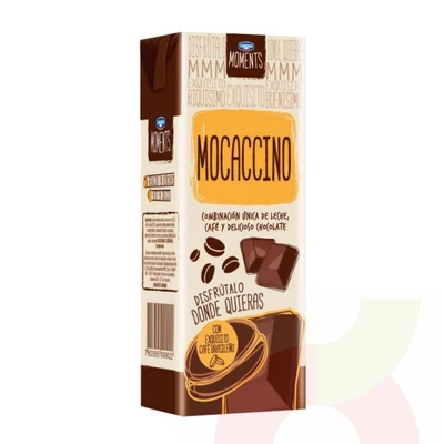 Leche Moments Mocaccino Danone 200Ml