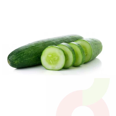 Pepino Ensalada por Unidad