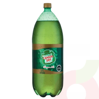 Bebida Ginger Ale Canada Dry 3Lt