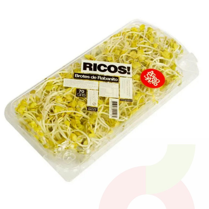 Brote Rabanito 70Gr Agrosano  - brotes rabanitos.jpg