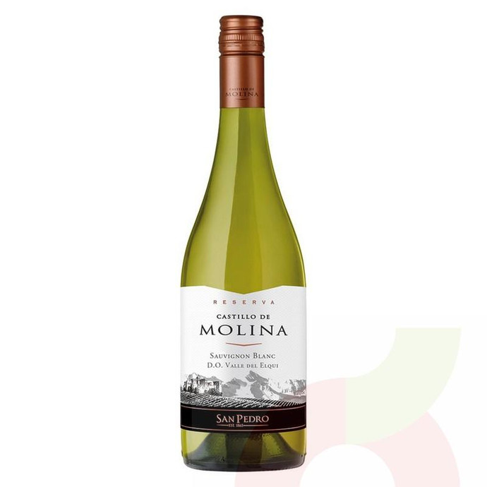 Vino Sauvignon Blanc Castillo De Molina 750Cc - Vino Castillo Res.750Cc S.Bco
