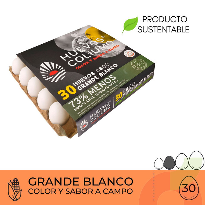Huevos Grande Blanco Coliumo 30 Unidades - HUEVOS BLANCOS 30.JPG