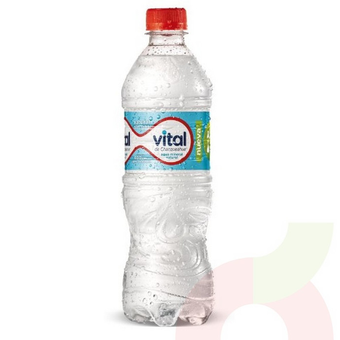 Agua Mineral Sin Gas Vital 600Cc - Vital Sin Gas.JPG