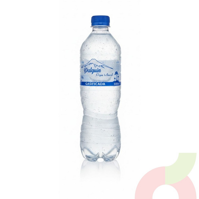 Agua Mineral Gasificada Palguin 600Cc - palguin gasificada 600.JPG