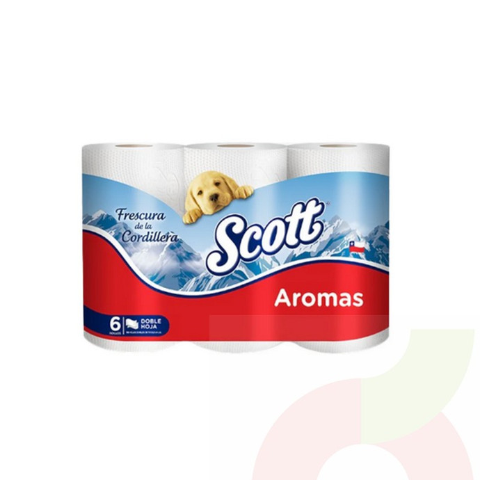 Papel Higiénico Scott 6 Unidades - PH Scott.jpg