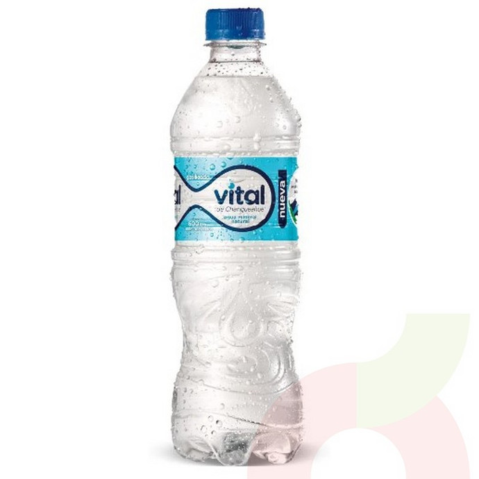 Agua Mineral Con Gas Vital 600Cc - Vital Con Gas.JPG