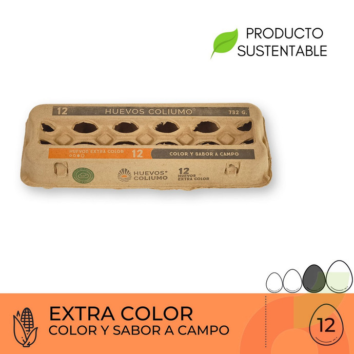 Huevos Extra Color Coliumo 12 Unidades - HUEVOS EXTRA COLOR 12.JPG