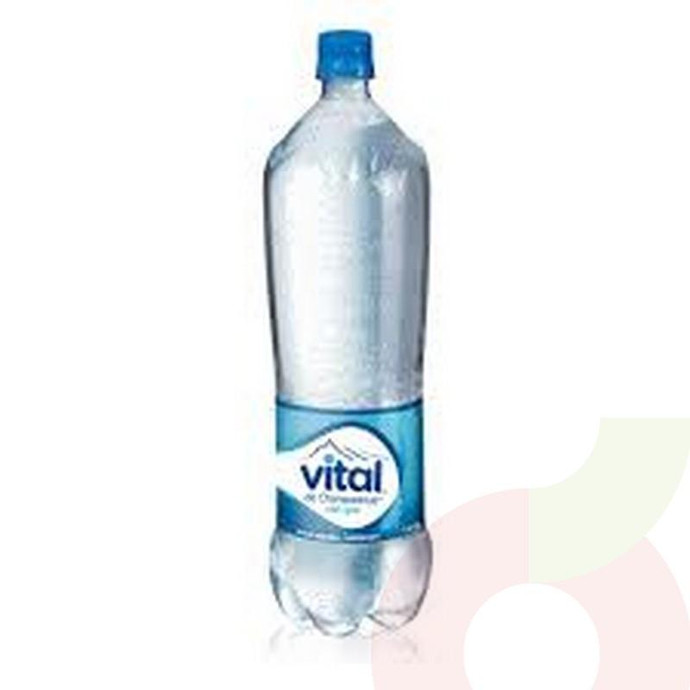 Agua Mineral con Gas Vital 1.6Lt - Agua Mineral Vital 1.6Cc Con Gas