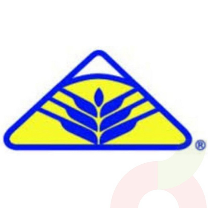 Harina Nieve 20Kg - harina nieve.JPG