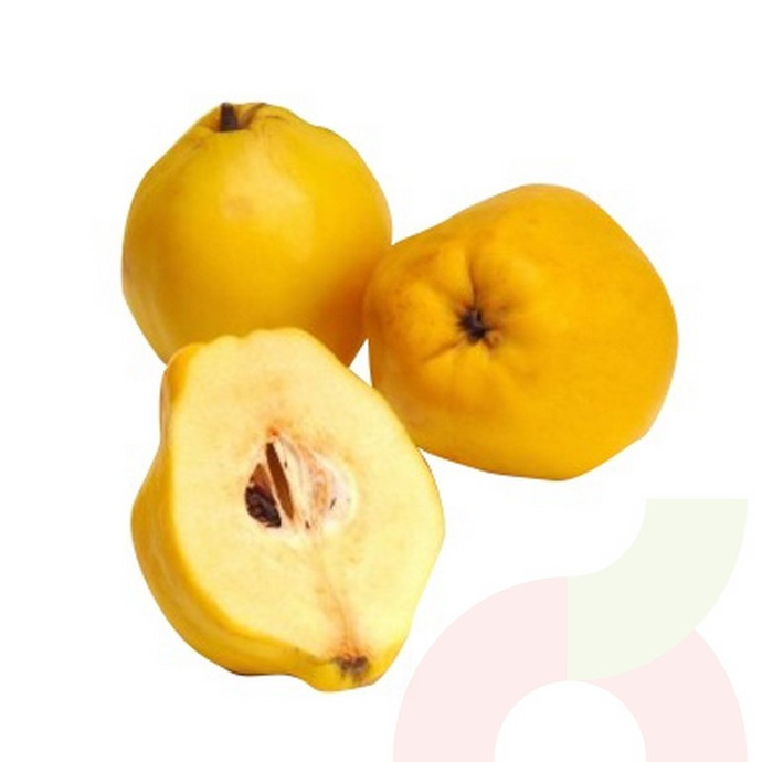 Membrillo 1Kg - membrillo-fruto.JPG
