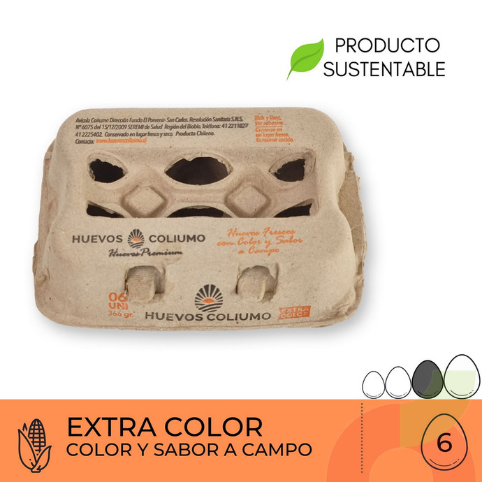 Huevos Extra Color Coliumo 6 Unidades - HUEVOS EXTRA COLOR 6.JPG