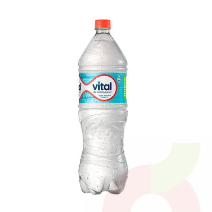 Agua Mineral sin Gas Vital 1.6Lt - Agua Mineral Vital 1.6Cc Sin Gas