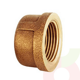 Tapa Gorro Bronce FluChile So-Hi 1/2 