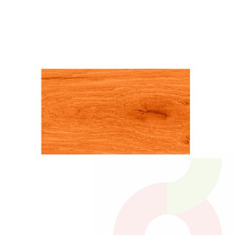 Tricostain  Alerce 1Lt Tricolor