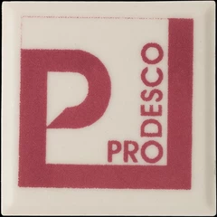 OXIDO COLORANTE P- 38 CARMIN