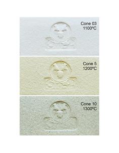 SIO2 PASTA REFRACTARIA BLANCA PRAF 0-0.5MM 12.5 KG