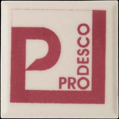 OXIDO COLORANTE P- 38 CARMIN
