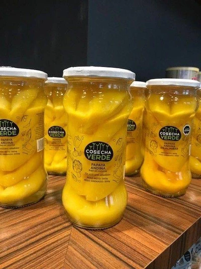 Papaya Andina en Almibar 580 gr