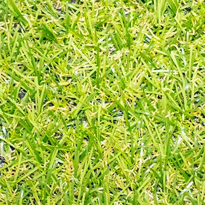 Pasto Sintético