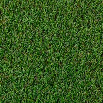 Pasto Sintético