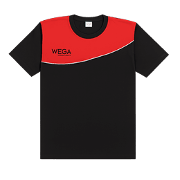 Camiseta WEGA bicolor
