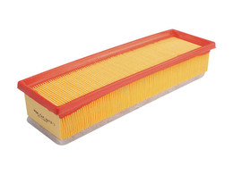 C3485/1 Filtro Aire Wega FAP-4873/1