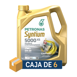 Syntium 5000 XS 5W30 4 lts (6x4)